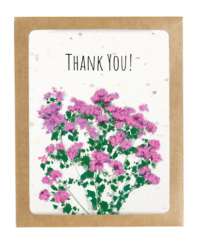 THANK YOU CATCHFLY PLANTABLE BOXED SET